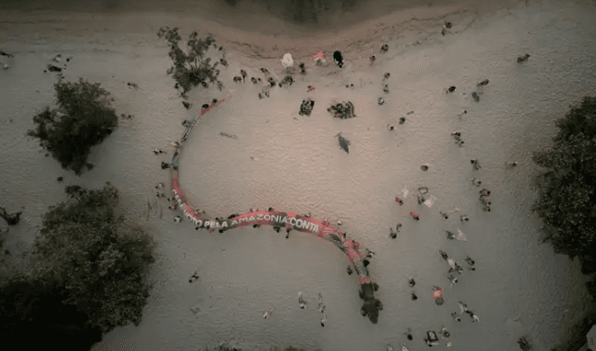 Amazônia de Pé mobiliza eleitores em defesa da floresta nas urnas