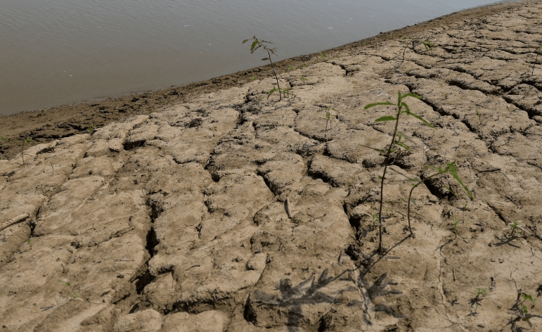 MPAM cobra medidas contra estiagem e efeitos do El Niño em São Gabriel da Cachoeira