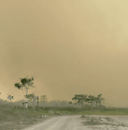 Incêndio de grandes proporções atinge vegetação na AM-070