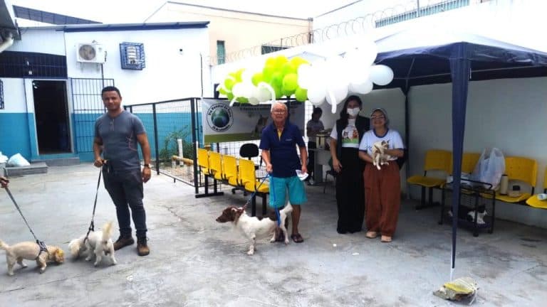 Saiba como prevenir a raiva e proteger cães e gatos em Manaus