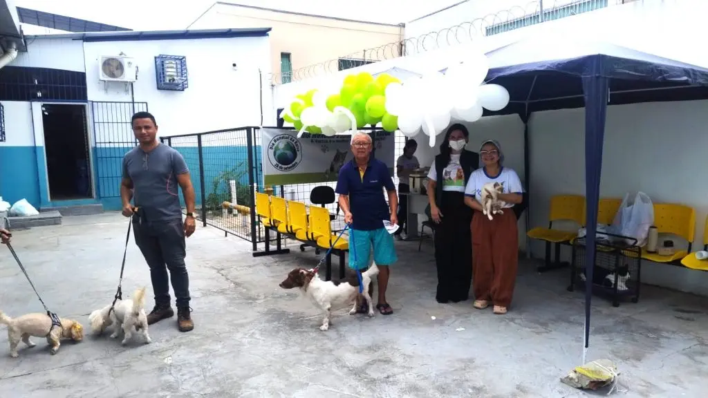 Saiba como prevenir a raiva e proteger cães e gatos em Manaus