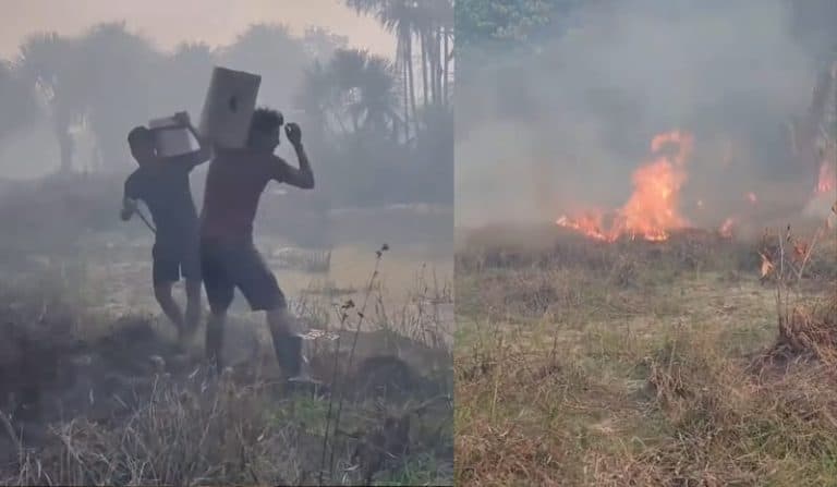 Brigadas comunitárias podem ser ampliadas para combater incêndios no AM, defende deputado