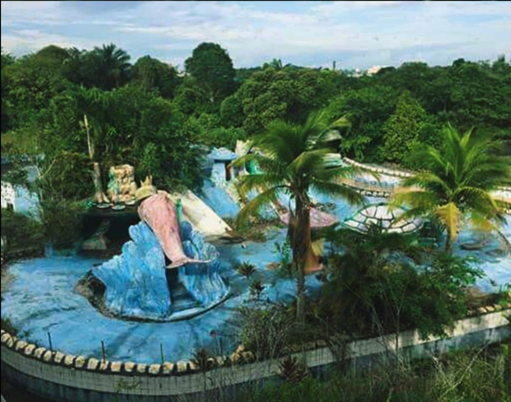 Selva Park: a história de um negócio que marcou Manaus e deixou uma lição sobre longevidade empresarial