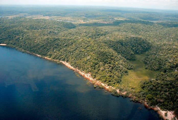Bandeiras dos 62 municípios podem ganhar status de patrimônio cultural no Amazonas