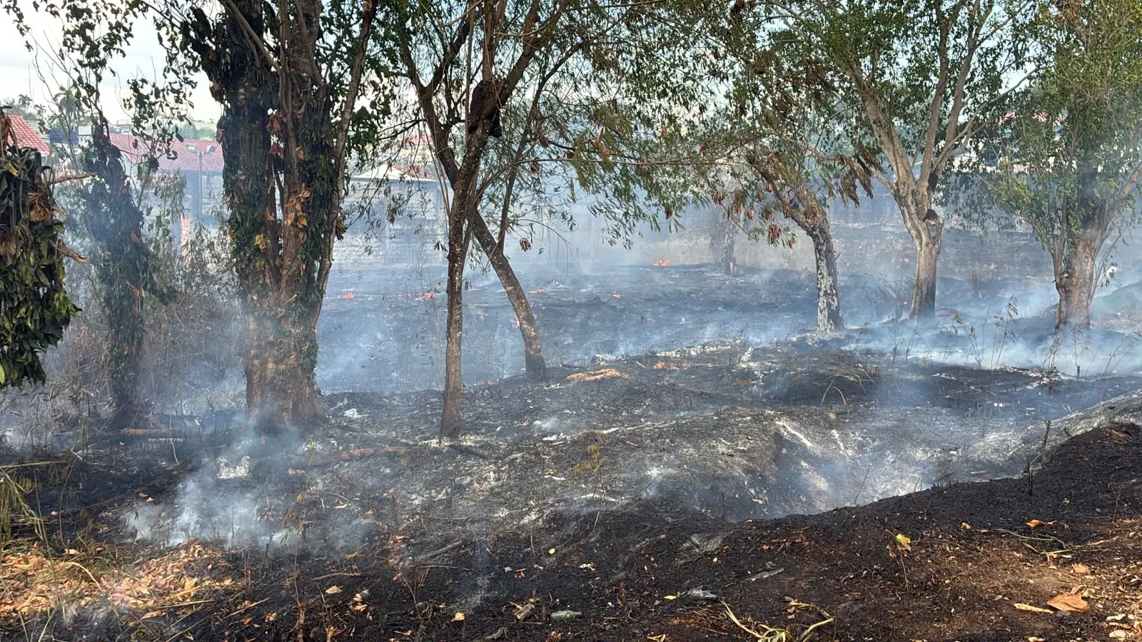 Incêndio atinge área de mata ao lado de condomínio em Manaus