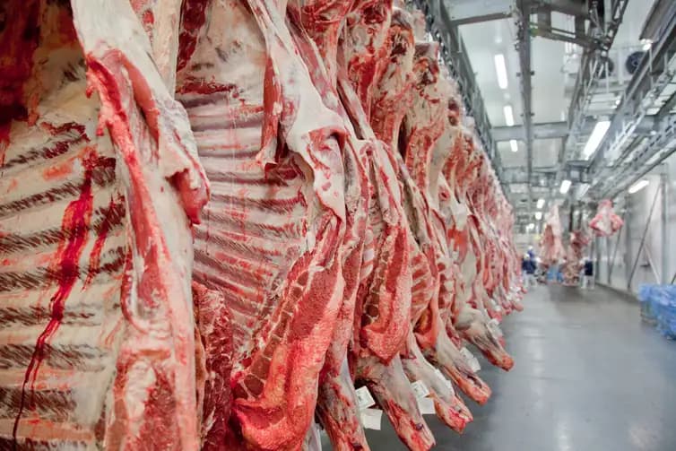 União Europeia suspende importação de carne, frango, ovos e mel do Brasil