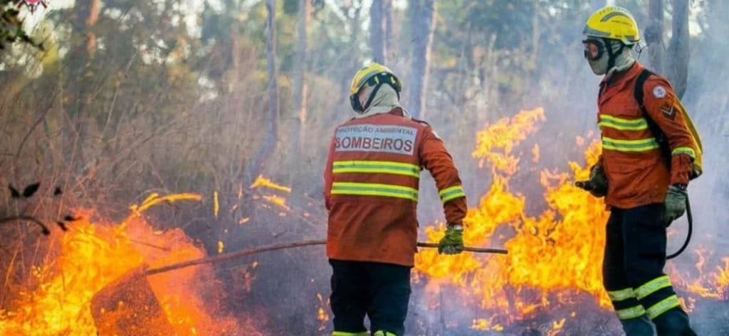 TRE-AM autoriza governo a divulgar alertas sobre estiagem e queimadas no Amazonas