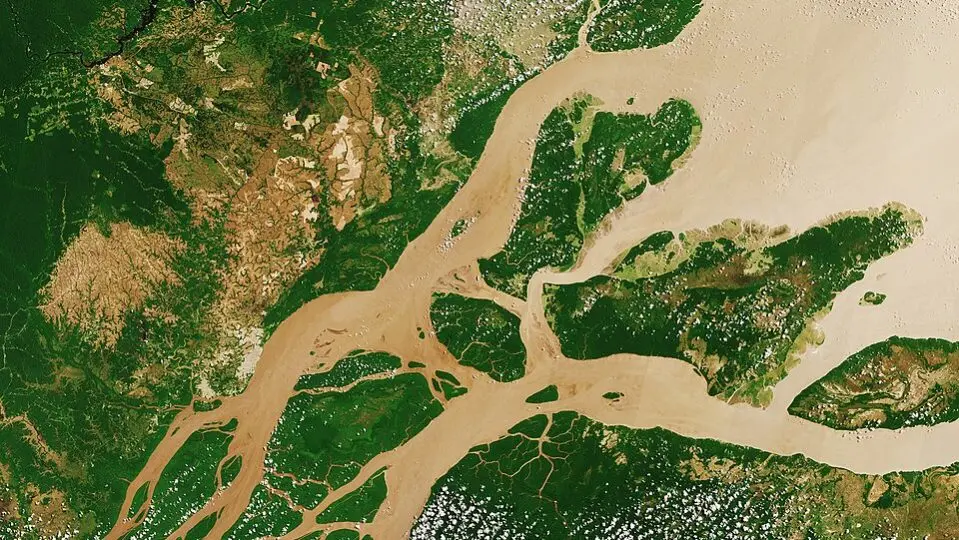 Rio Amazonas ajuda oceano a retirar CO₂ da atmosfera