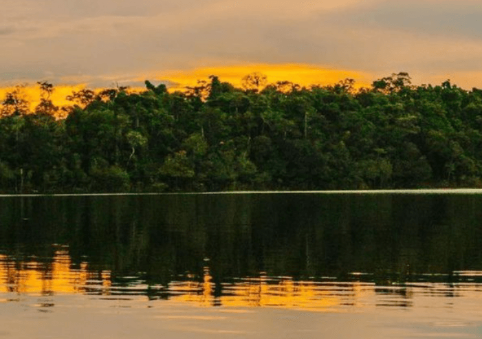 Um dos maiores tesouros naturais do mundo está no Amazonas