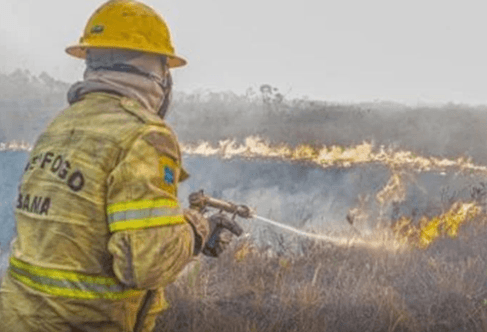 Governo investiga esquema criminoso por trás de incêndios no AM