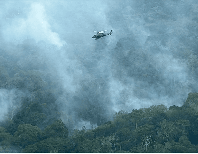 Amazonas registra queda de 641 focos de calor em uma semana, aponta Inpe