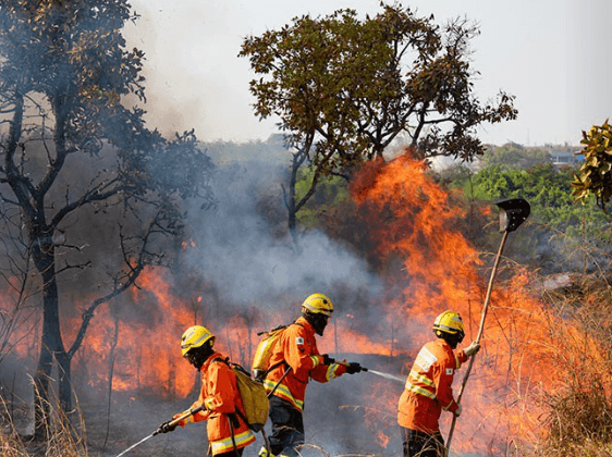 Governo Federal mobiliza 17 aeronaves e extingue 338 incêndios florestais no Amazonas