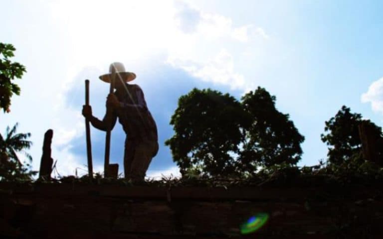 Produtores do Amazonas são alertados sobre efeitos do El Niño