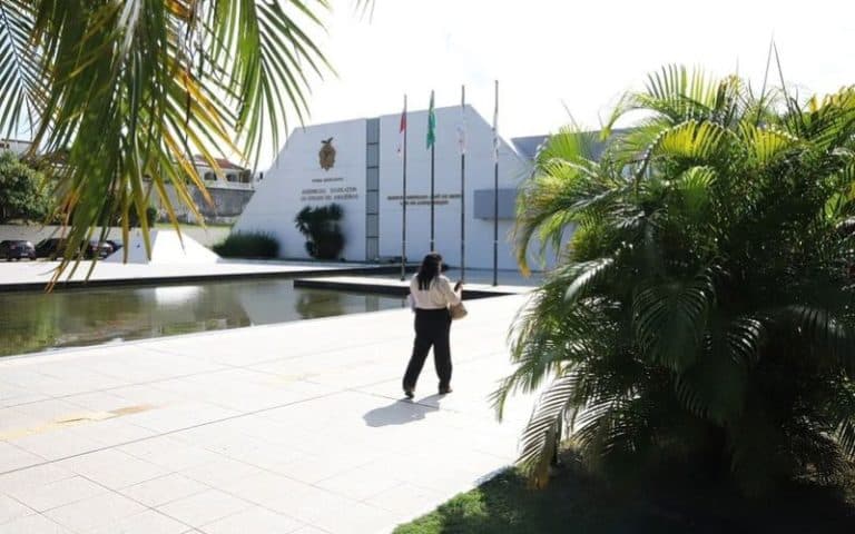 Bancada feminina na Aleam terá apenas 2 mulheres entre 24 deputados