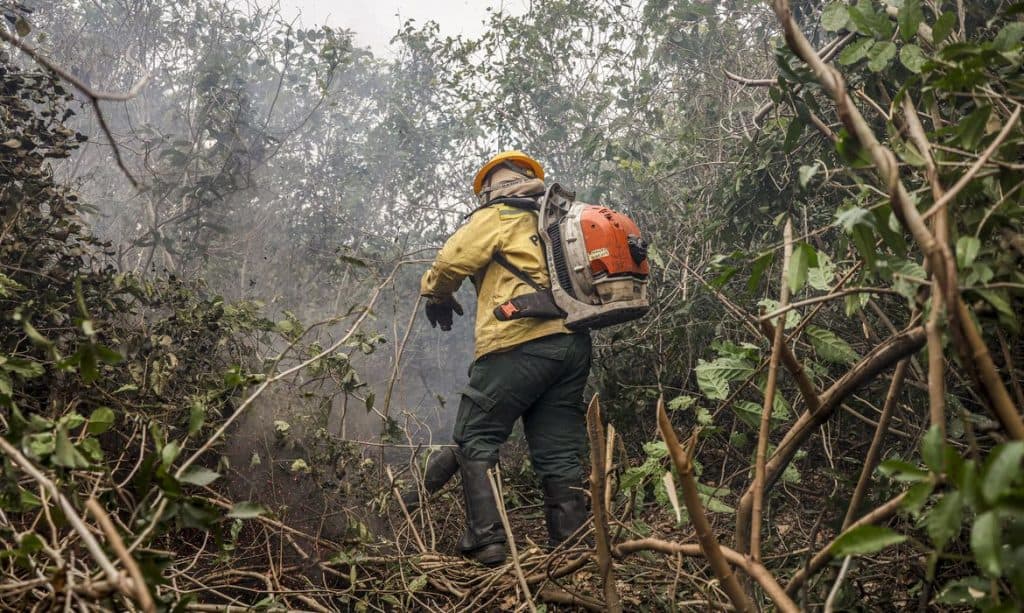Amazonas tem 4 municípios entre os que mais queimam no Brasil