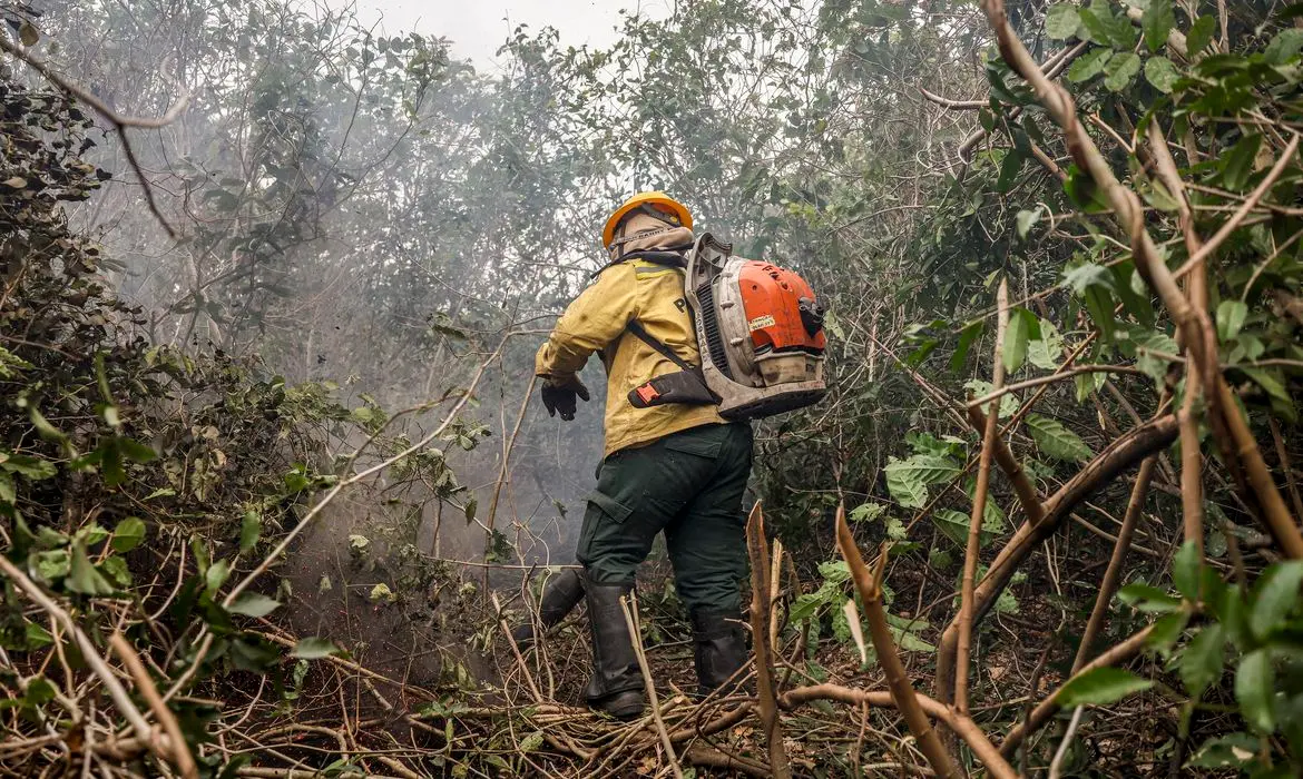 Amazonas tem 4 municípios entre os que mais queimam no Brasil