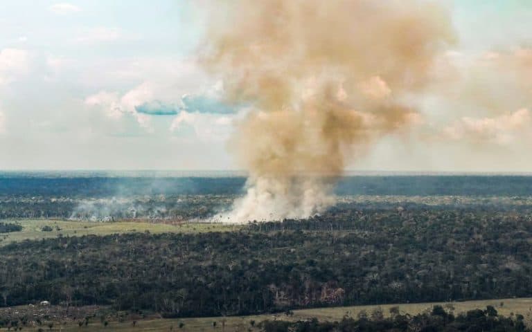 Brasil registra menor volume de gases do efeito estufa desde 2012