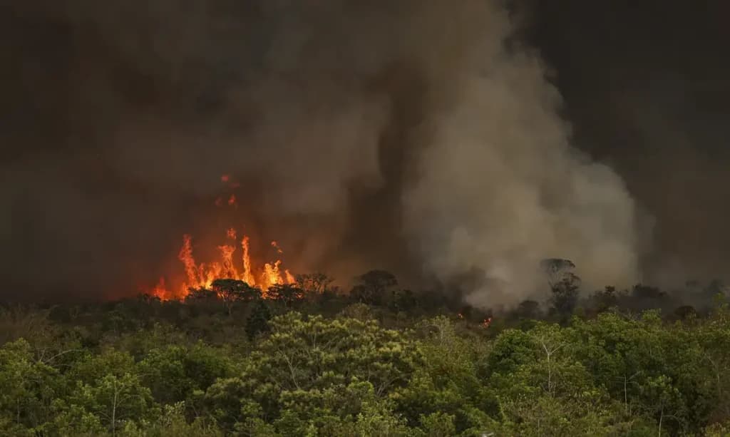Lábrea e Boca do Acre lideram focos de queimadas no Amazonas, aponta Inpe
