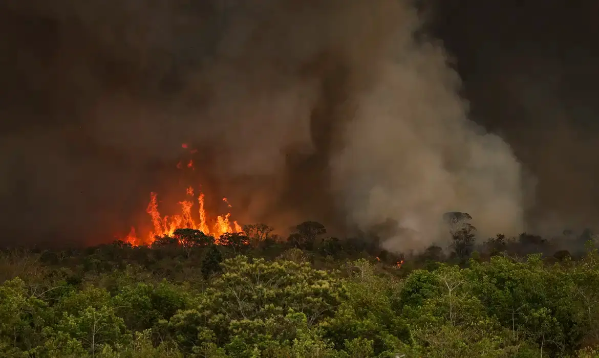 Lábrea e Boca do Acre lideram focos de queimadas no Amazonas, aponta Inpe