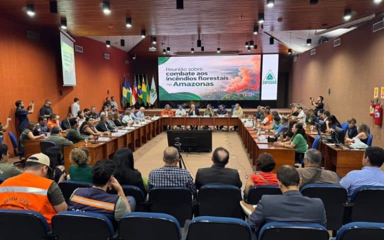 Reforço federal contra incêndios no Amazonas é discutido na Suframa