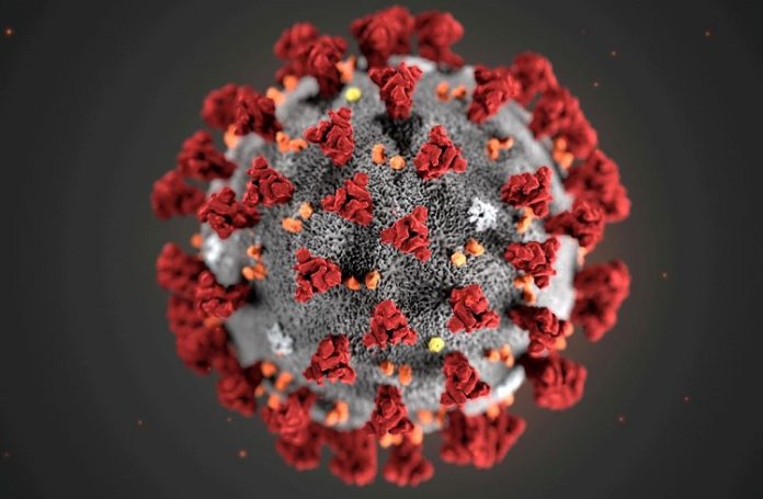 Confirmada primeira morte no Brasil por variante Ômicron de Covid