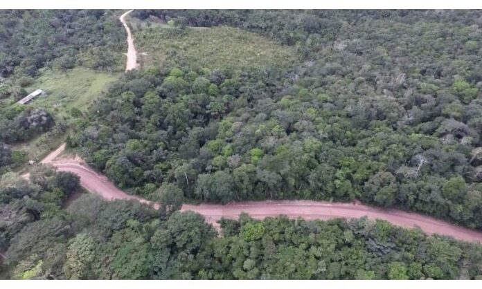 Moradores do ramal da Casa Branca, no município de Rio Preto da Eva, pedem à concessionária Amazonas Energia que instale estratura de fornecimento de energia elétrica a partir do quilômetro 11 do ramal