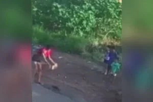 Mulher é presa após matar gato com pedrada na frente de Crianças