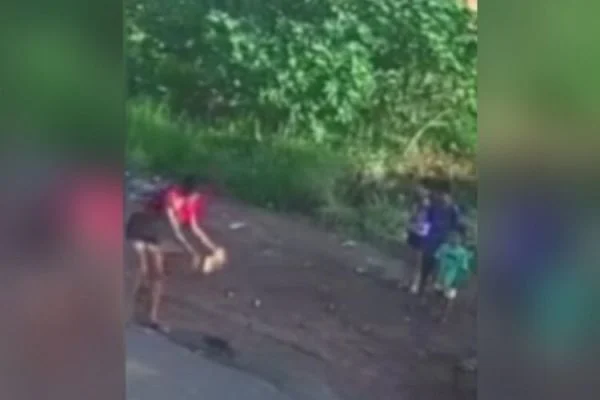 Mulher é presa após matar gato com pedrada na frente de Crianças