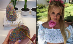 Veja! Britney Spears compartilha ovo de Páscoa de Rondônia