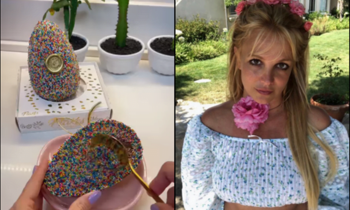 Veja! Britney Spears compartilha ovo de Páscoa de Rondônia
