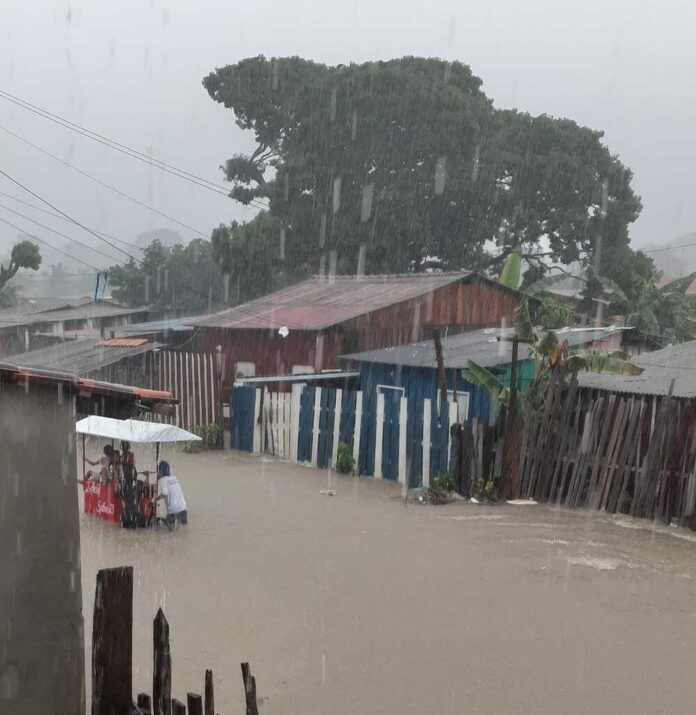 No último fim de semana, o município de Parintins (a 369 quilômetros de Manaus) registrou volume de chuvas de 180 milímetros, nível considerado preocupante pelo presidente do Instituto de Desenvolvimento Agropecuário do Amazonas (Idam), Thomás Sanches, e a previsão é que a cheia deste ano atinja outro recorde