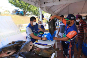 Feirão do Pescado do Governo do Amazonas inicia nesta quarta-feira