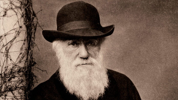 Cadernos de Darwin reaparecem misteriosamente após 22 anos