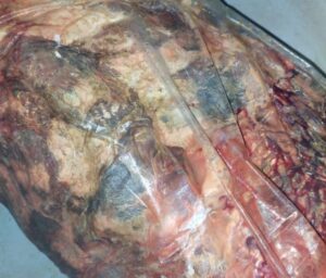 2 toneladas de carne estragada é apreendida na zona Leste