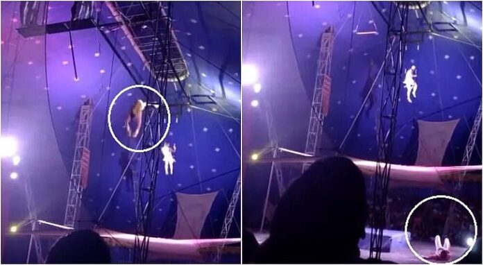 Trapezista despenca durante apresentação de circo na Grande Fortaleza