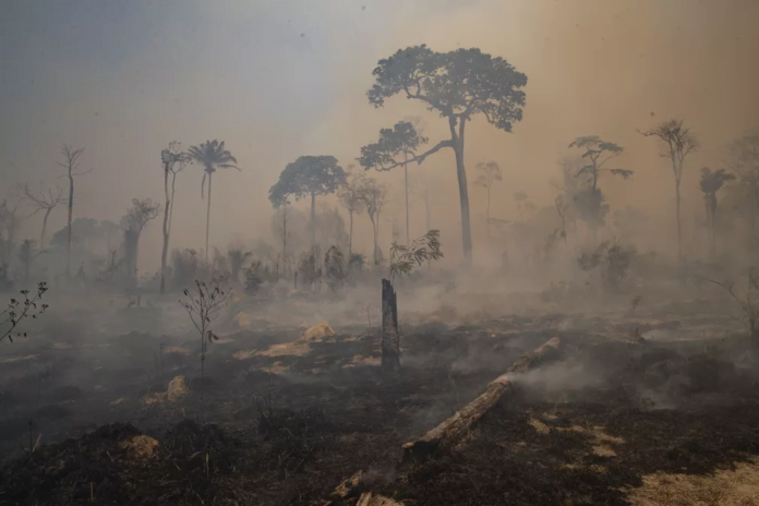 Desmatamento na Amazônia Legal bate recorde em abril, segundo Inpe