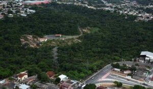 Parque Sumaúma terá tirolesa e rapel gratuito neste domingo em Manaus