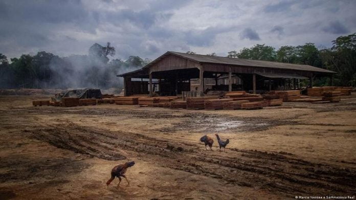 O Instituto Brasileiro de Meio Ambiente e Recursos Naturais (Ibama) liberou licença prévia para obras no trecho do meio da BR-319 (Manaus-Porto Velho)