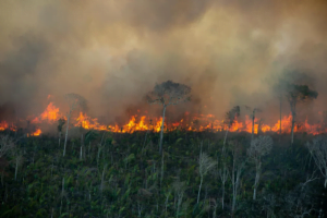 Incêndios na Amazônia batem novo recorde histórico em junho