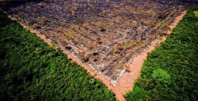 O Instituto do Homem e Meio Ambiente da Amazônia (Imazon) informou nesta quarta-feira (17) que área de floresta desmatada da Amazônia Legal em 2022 foi a maior dos últimos 15 anos