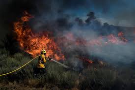 Mais de 100 mil hectares foram queimados este ano em incêndios em Portugal
