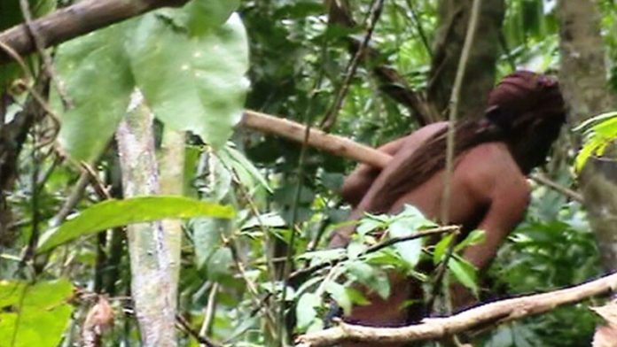 Índigena que vivia isolado é encontrado morto em Rondônia