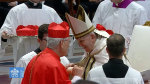 Veja Vídeo: Dom Leonardo Steiner toma posse como cardeal no Vaticano