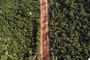 O Instituto de Proteção Ambiental do Amazonas (IPAAM) autorizou, na quinta-feira (1), o início das obras de reconstrução do "trecho do meio" da BR-319