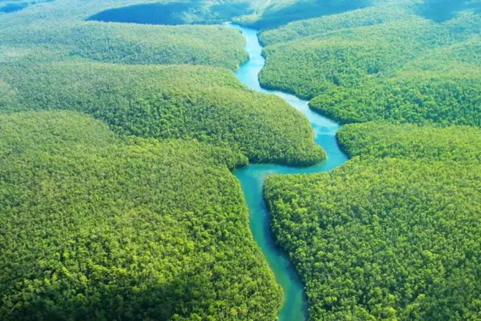 O Ministério Público Federal (MPF) emitiu recomendação ao Instituto Brasileiro do Meio Ambiente (Ibama) e à Petrobras para que suspendam a atividade de perfuração marítima programada para a bacia da foz do Amazonas
