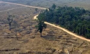 O acumulado de alertas de desmatamento em setembro de 2022 na Amazônia foi de 1.455 km², segundo dados divulgados nesta sexta-feira (7) pelo Instituto de Pesquisas Espaciais (Inpe)