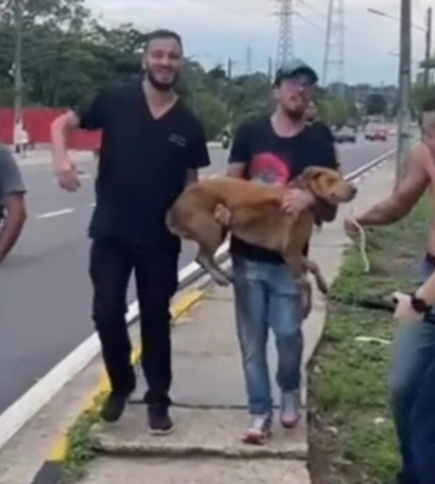 Cadela desaparecida é achada dentro de buraco em Manaus