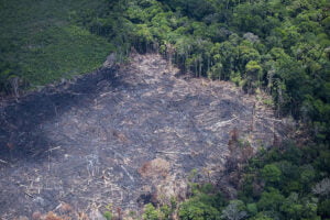 2022 acaba com marca histórica de desmatamento na Amazônia, segundo Inpe