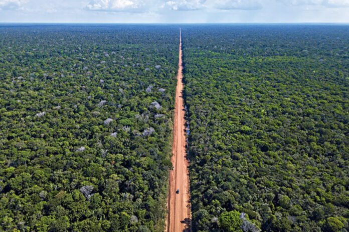 Juíza federal acata pedido de ONG e suspende licença para asfaltamento da BR-319 por risco ambiental