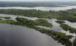 Após reativação do Fundo Amazônia, Noruega libera R$ 3 bilhões ao Brasil